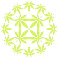 cannabis Além disso conhecido Como maconha plantar folha silhueta círculo forma composição, pode usar para decoração, ornamentado, papel de parede, cobrir, arte ilustração, têxtil, tecido, moda, ou gráfico Projeto elemento png
