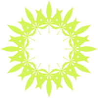 cannabis aussi connu comme marijuana plante feuille silhouette cercle forme composition, pouvez utilisation pour décoration, orné, fond d'écran, couverture, art illustration, textile, tissu, mode, ou graphique conception élément png