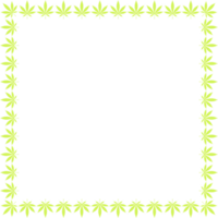telaio opera creare a partire dal canapa anche conosciuto come marijuana foglia silhouette, può uso per decorazione, ornato, sfondo, telaio, spazio per testo di Immagine, o grafico design png