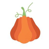 naranja calabaza ilustración. otoño Víspera de Todos los Santos o acción de gracias calabaza símbolo. plano diseño. naranja silueta aislado en blanco antecedentes. dibujos animados vistoso ilustración. vector