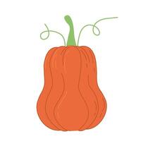 naranja calabaza ilustración. otoño Víspera de Todos los Santos o acción de gracias calabaza símbolo. plano diseño. naranja silueta aislado en antecedentes. dibujos animados vistoso ilustración. vector