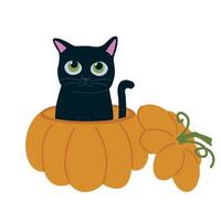 Cute black little cat sitting in pumpkin. Adorable hand drawn kitty, funny Halloween illustration isolated on white background. vector