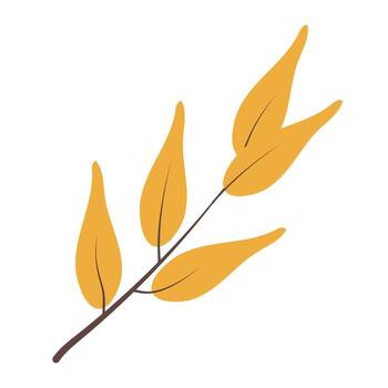 drawing of branch with leaves isolated on white background. Illustration in flat style. Rustic, boho style. vector