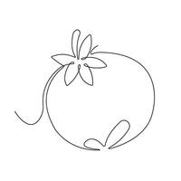 Tomato in continuous line art drawing style. Whole tomato minimalist black linear sketch isolated on white background. illustration vector