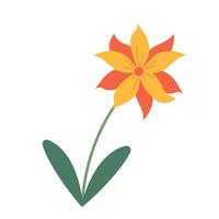 Beautiful yellow and orange flower isolated on white background. graphics. Artwork design element. Cartoon design for poster, icon, card, logo, label. vector