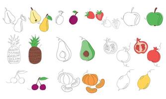 Set of fruits and berries in continuous line art drawing style. Fruits minimalist black linear sketch and colored sketch isolated on white background. illustration vector