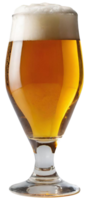 Glass of fresh beer png