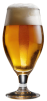Glass of fresh beer png