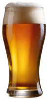 Glass of fresh beer png