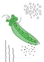 Continuous one line drawing pea pod. illustration. Black line art on white background with colorful spots and elements. Poster in minimalism concept vector