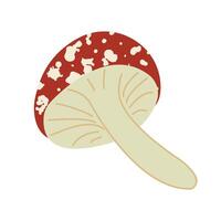 Mushrooms or fly agaric illustration. Autumn harvest, poisonous mushroom isolated on white background. Harvest concept. Cozy autumn concept. Flat style. vector