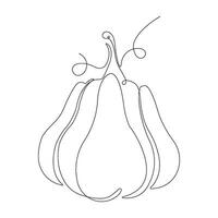 Pumpkin in continuous line art drawing style. One pumpkin minimalist black linear sketch isolated on white background. illustration vector