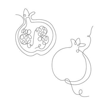 Pomegranate in continuous line art drawing style. Pomegranate minimalist black linear sketch isolated on white background. illustration vector