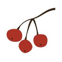 Bunch of red rowan berries isolated on white background. Rowan branch without leaves. illustration in flat style. vector