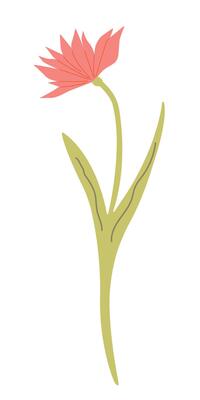 Dry herbarium plant. Flower illustration isolated on white background. Wildflower in flat style for web design, banner, flyer, invitation, card.