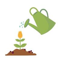 green watering can isolated on a white background. Gardening tools. Seedlings are watered from a watering can. illustration. vector