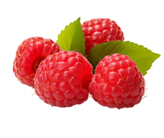 framboise avec des feuilles png