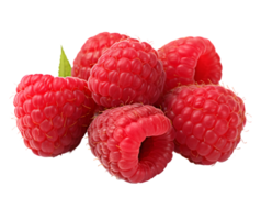 Raspberry with leaves png