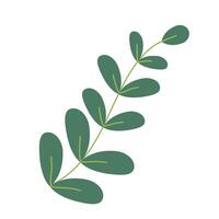 Little branch with green leaves over white background. graphics. Artwork design element. Cartoon design for poster, icon, card, logo, label. vector