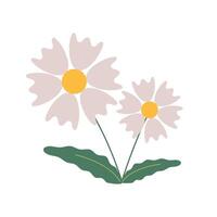 Beautiful white flower isolated on white background. graphics. Artwork design element. Cartoon design for poster, icon, card, logo, label. vector