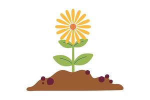 Pile of ground with small yellow blooming flower, heap of soil. illustration isolated on white background. illustration. Gardening, plants. Cartoon design for poster, icon, card vector