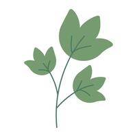 Little branch with green leaves over white background. graphics. Artwork design element. Cartoon design for poster, icon, card, logo, label. vector