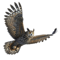 Generated AI Flying bird owl isolated on transparent background png