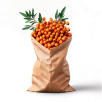 Natural paper bag overflowing with vitamin rich sea buckthorn and rosehip with bright berries tumbling png