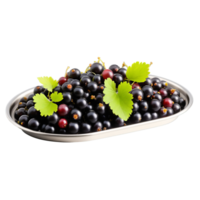 Lush black currants Ribes nigrum artistically arranged on a sleek stainless steel tray emphasizing their png