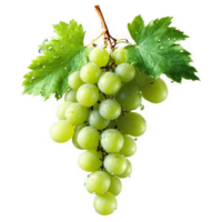 Grapes with water droplets and green leaves frozen in falling action Food and culinary concept png