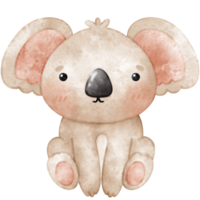 bebis koala, koala, boho stil, vattenfärg png