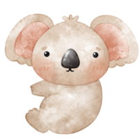 bambino koala, koala, boho stile, acquerello png