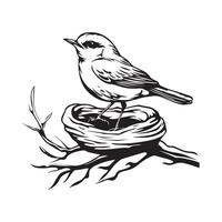 Robin pájaro en el nido en blanco antecedentes vector