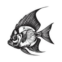 pez hacha valores ilustraciones. pescado en un blanco antecedentes vector