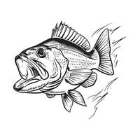 pescado imagen diseño. ilustración de un pescado en blanco antecedentes vector