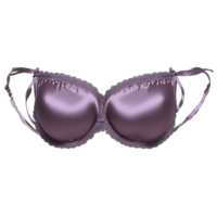 Romantic Mauve Satin Bra A romantic mauve satin bra with a soft feminine color showcasing png