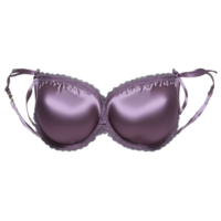 romantico malva raso reggiseno un' romantico malva raso reggiseno con un' morbido femminile colore in mostra png