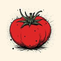 Hand Drawn Tomato Engraved 44610436 Vector Art at Vecteezy