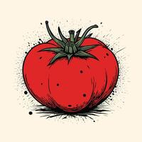 Hand Drawn Tomato Vintage Engraved Style vector