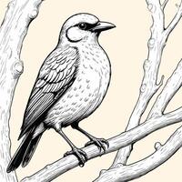 A Bird On A Branch Engraved Style vector