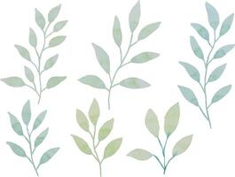 Assortment of watercolor leaves illustration set - green leaf branches collection for wedding, greetings, stationary, wallpapers, fashion, background. olive, green leaves, Eucalyptus etc vector