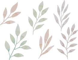 Assortment of watercolor leaves illustration set - green leaf branches collection for wedding, greetings, stationary, wallpapers, fashion, background. olive, green leaves, Eucalyptus etc vector