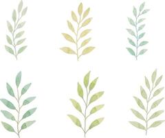 Assortment of watercolor leaves illustration set - green leaf branches collection for wedding, greetings, stationary, wallpapers, fashion, background. olive, green leaves, Eucalyptus etc vector