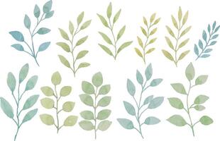 Assortment of watercolor leaves illustration set - green leaf branches collection for wedding, greetings, stationary, wallpapers, fashion, background. olive, green leaves, Eucalyptus etc vector