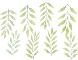 Assortment of watercolor leaves illustration set - green leaf branches collection for wedding, greetings, stationary, wallpapers, fashion, background. olive, green leaves, Eucalyptus etc vector