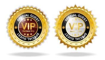 VIP tarjeta Insignia embellecer en oro color silado vector