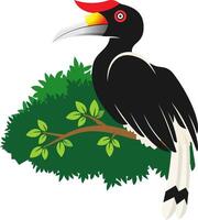 Hornbill Bird Illustration vector