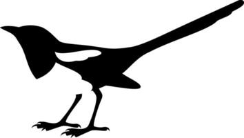 Magpie Bird Silhouette vector