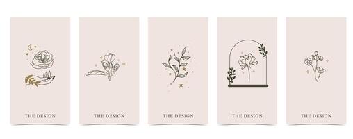 flower background with lavender,jasmine,magnolia.illustration for a4 page design vector