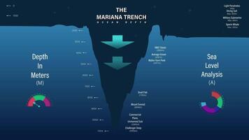 Mariana trench analysis, digital visual illustration of mariana trench, ocean level, deepest depths in the western pacific info graphic 4k animation video